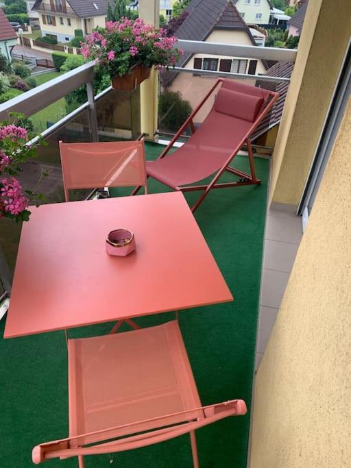 Charmant Appartement 2 Pieces ムンドルスハイム エクステリア 写真